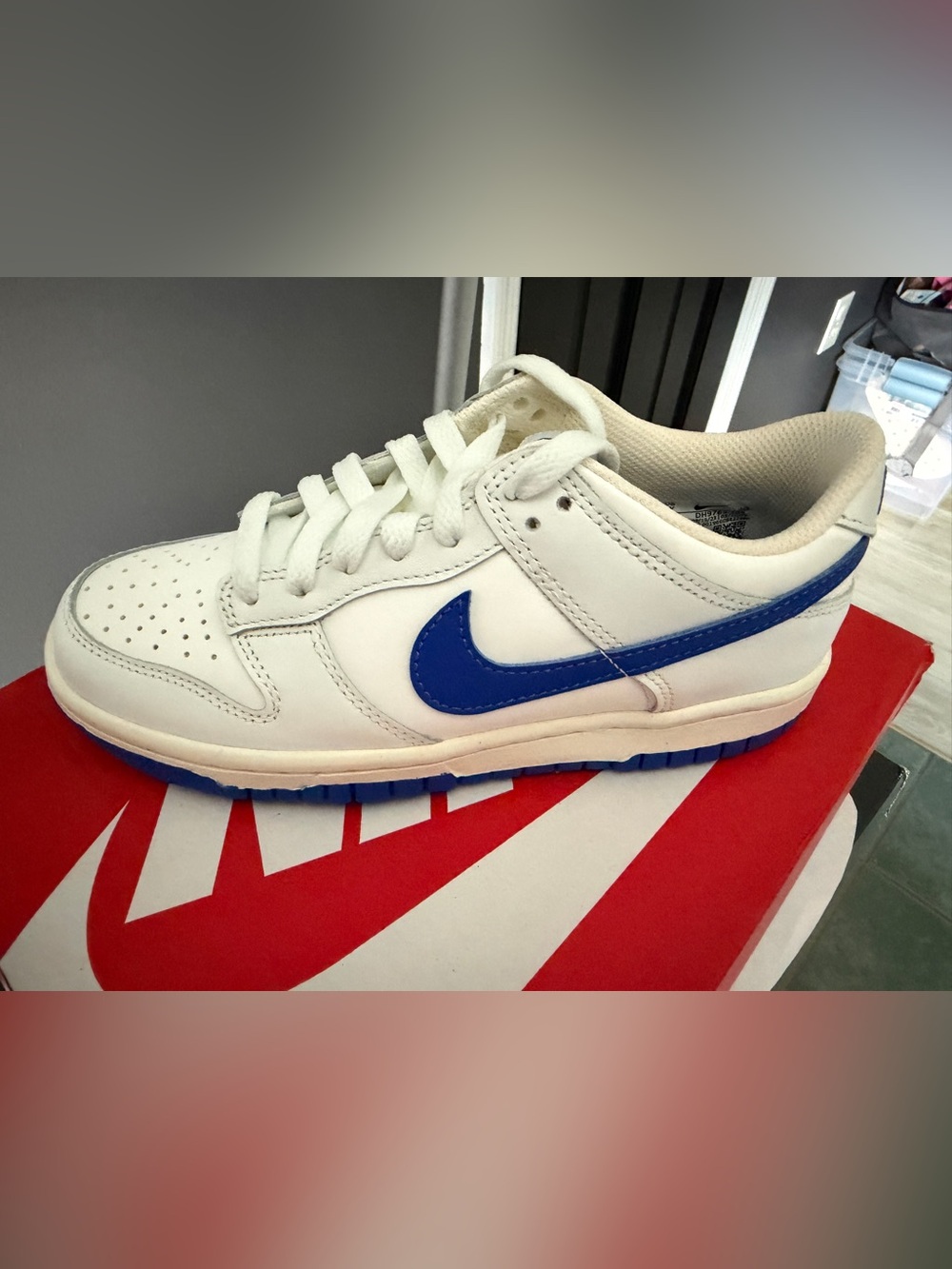 Youth Nike Dunk Low GS 'Summit White
Hyper Royal